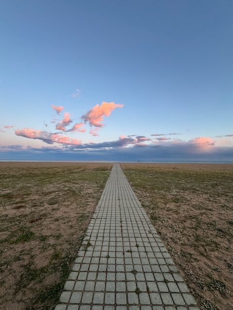 Image6 Rotated