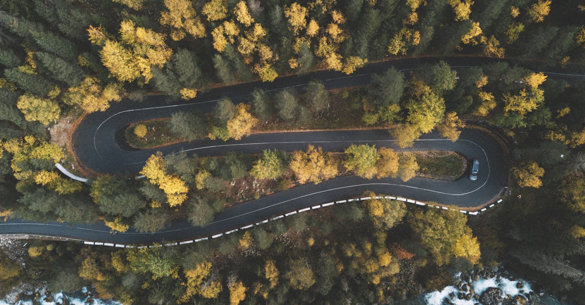 A stunning aerial shot capturing a curvy road through a dense forest in fall, with vibrant foliage.
