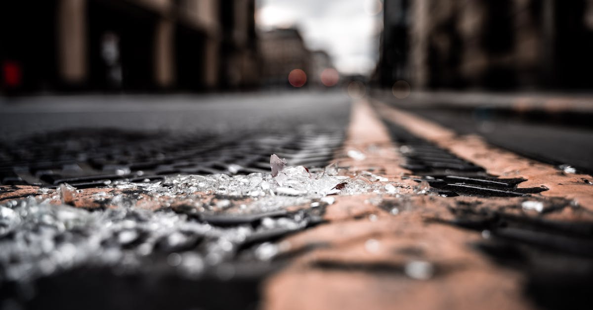 Pexels Photo 3220848 3220848