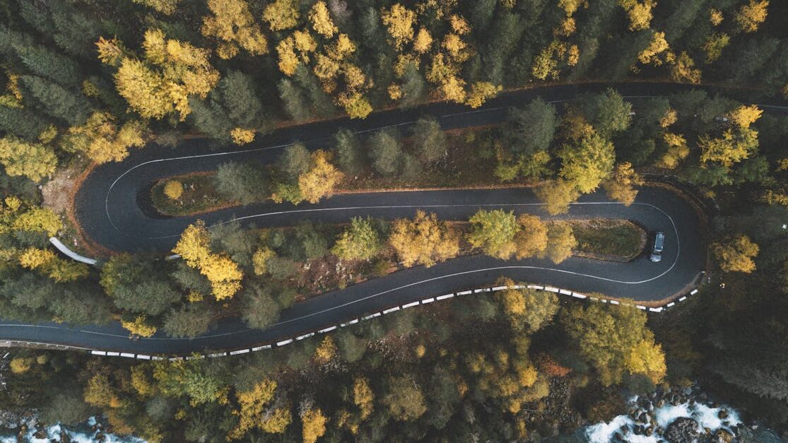 A stunning aerial shot capturing a curvy road through a dense forest in fall, with vibrant foliage.